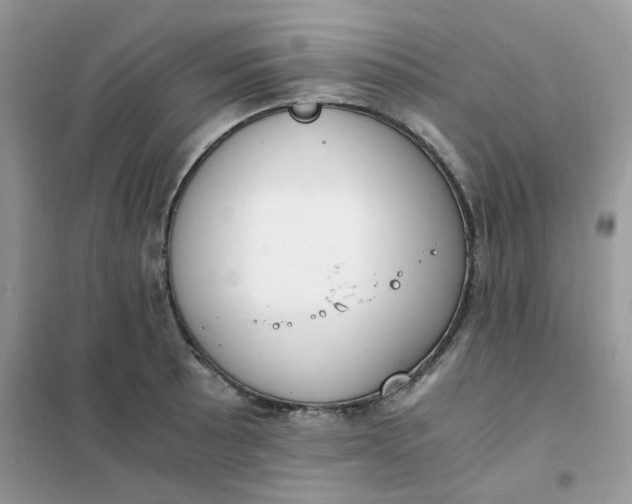 X0000102031089200808011442