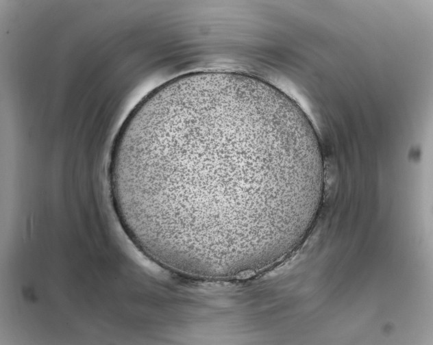 X0000102031091200808011442