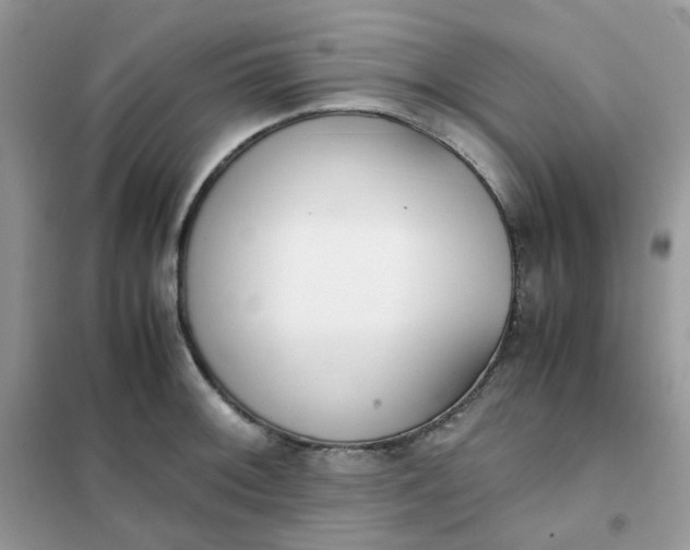 X0000102031092200808011442