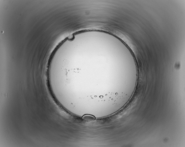 X0000102031093200808011442