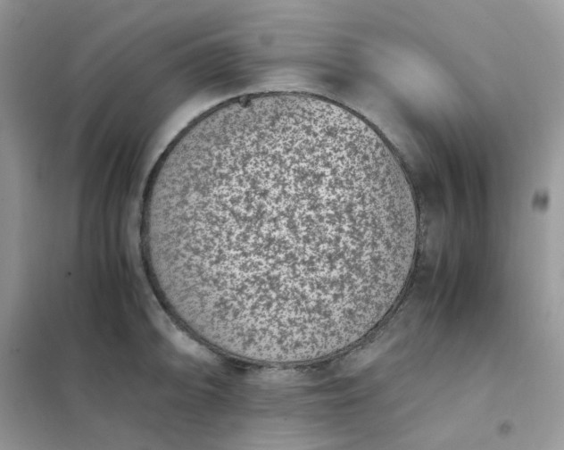 X0000102031094200808011442