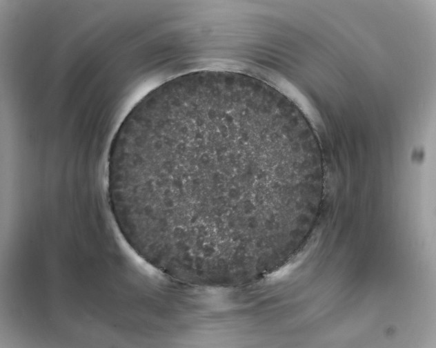 X0000102031095200808011442