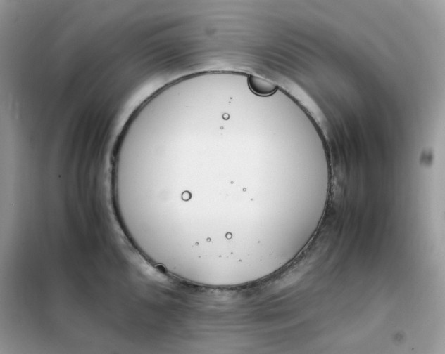 X0000102031096200808011442