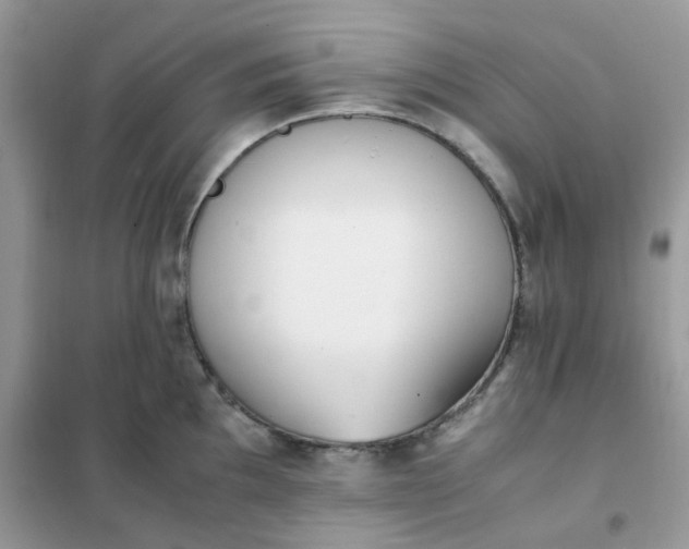 X0000102031097200808011442