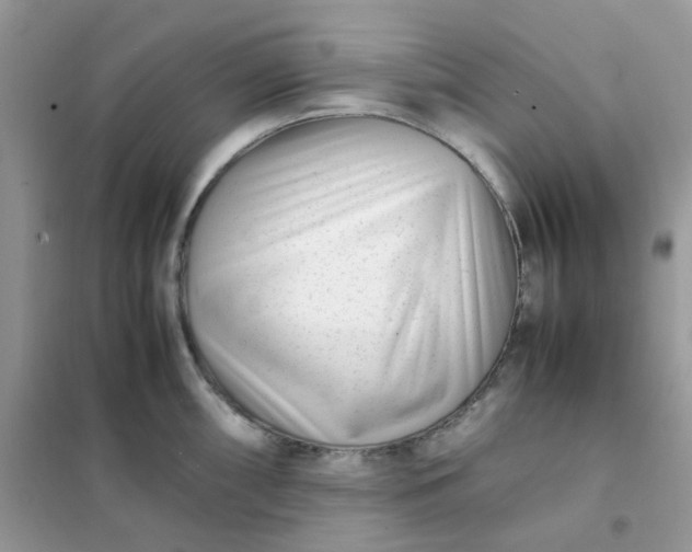 X0000102031098200808011442