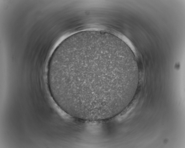 X0000102031099200808011442