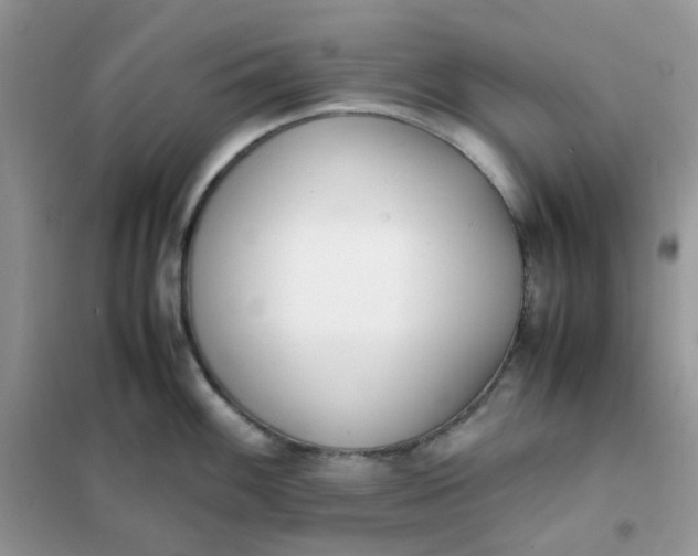 X0000102031100200808011442