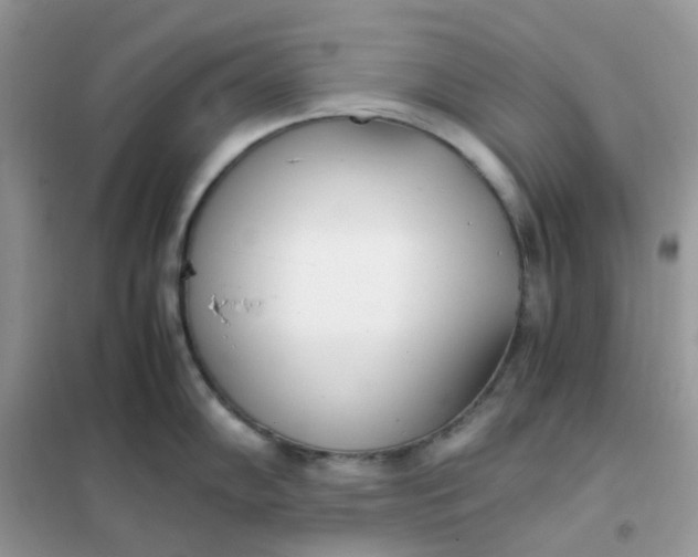 X0000102031102200808011442