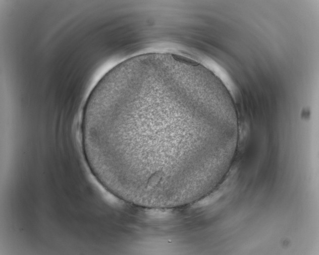 X0000102031103200808011442