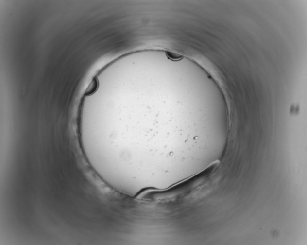 X0000102031104200808011442