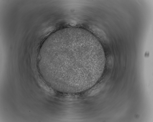 X0000102031105200808011441