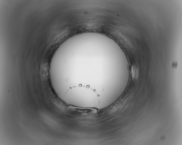 X0000102031107200808011441