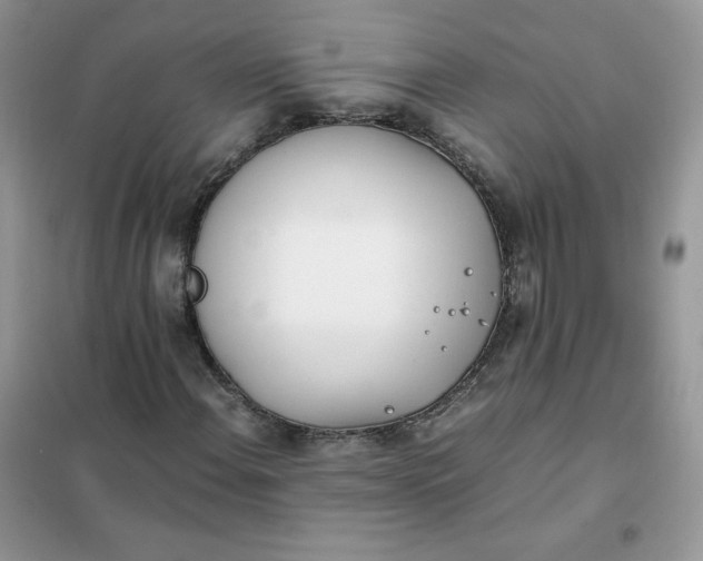 X0000102031108200808011441