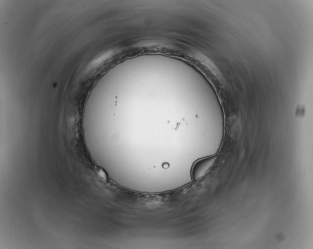 X0000102031111200808011441