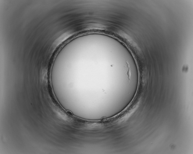 X0000102031113200808011441