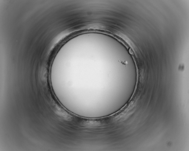 X0000102031115200808011441