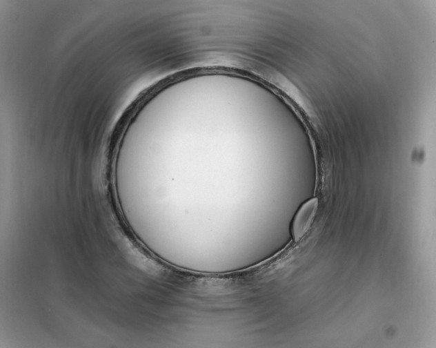 X0000102031116200808011441