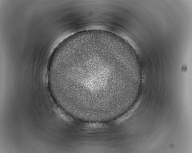 X0000102031117200808011441