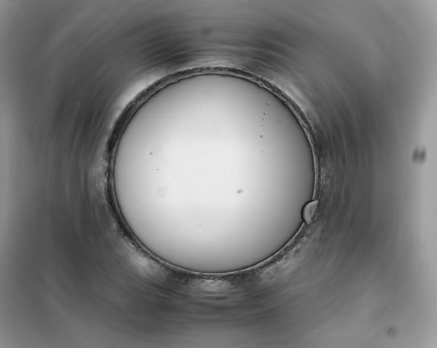 X0000102031119200808011441