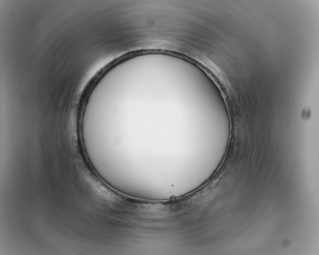 X0000102031120200808011441