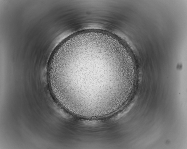 X0000102031121200808011441