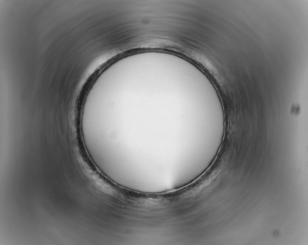 X0000102031122200808011441