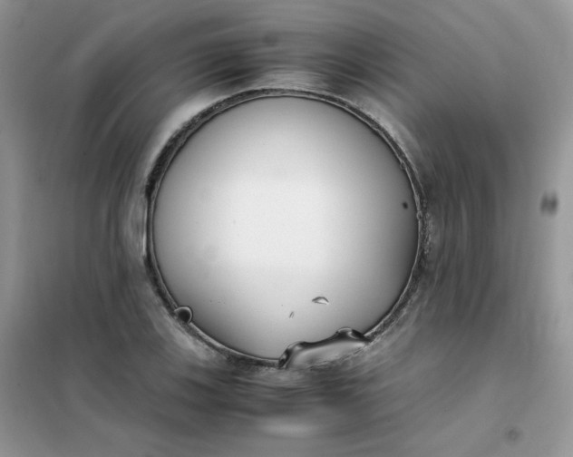 X0000102031123200808011441