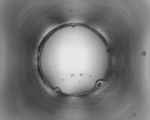 X0000102031124200808011441