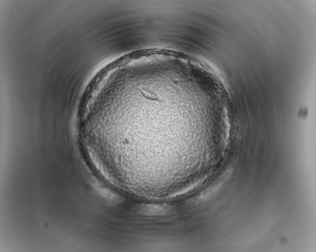 X0000102031125200808011441