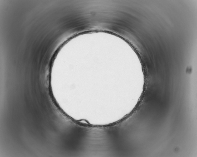 X0000102031126200808011441