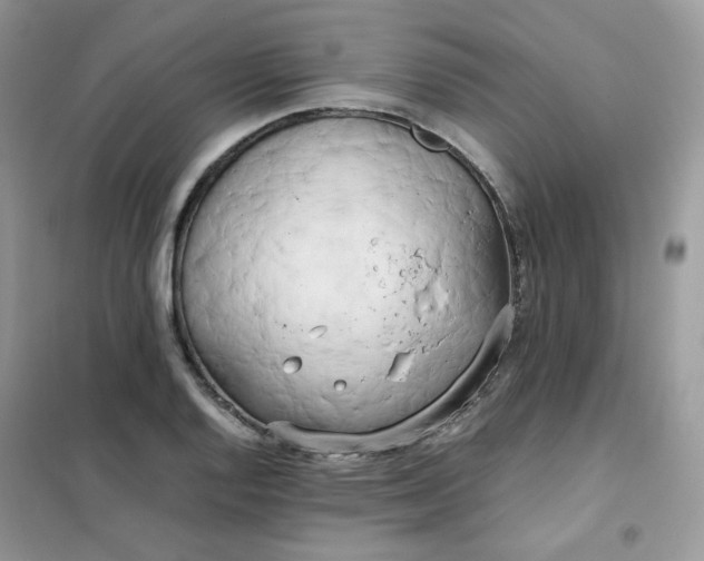 X0000102031128200808011441