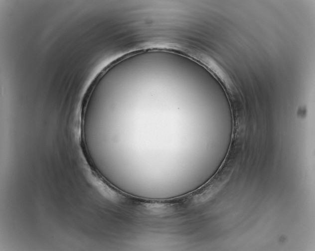 X0000102031132200808011441