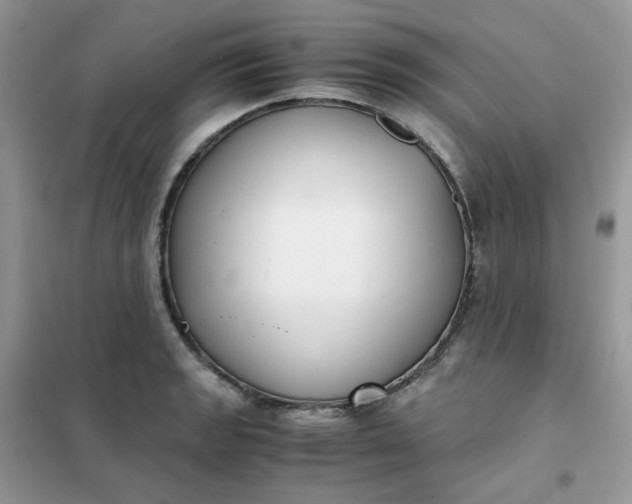 X0000102031133200808011441