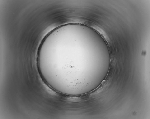 X0000102031135200808011441