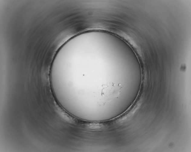 X0000102031137200808011441