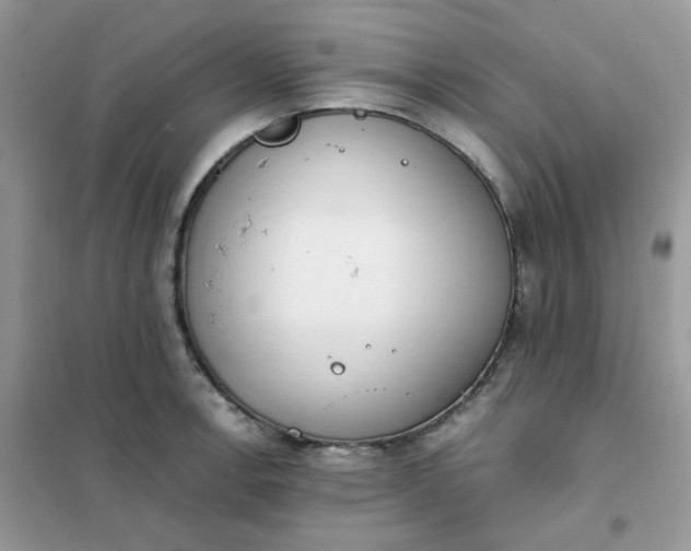 X0000102031138200808011441