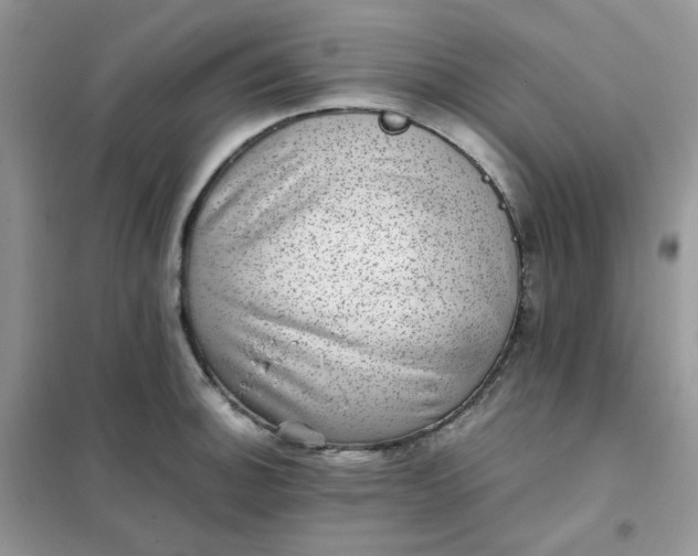 X0000102031140200808011441