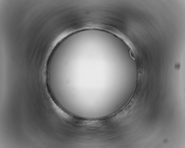 X0000102031143200808011441