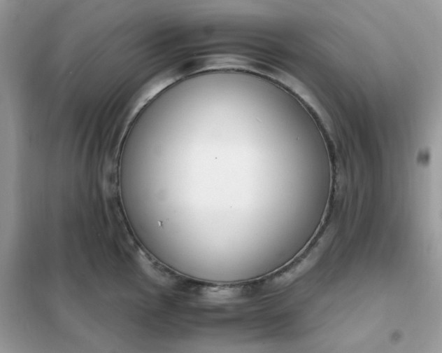 X0000102031145200808011441