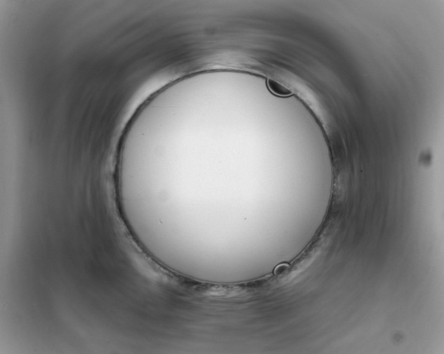 X0000102031146200808011441