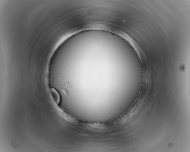 X0000102031147200808011441