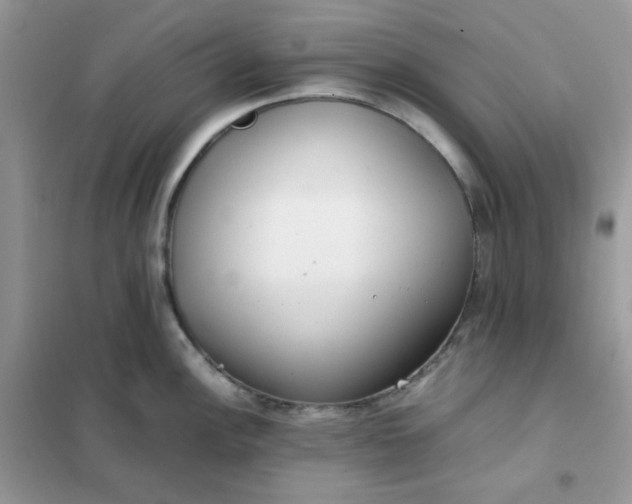 X0000102031148200808011441