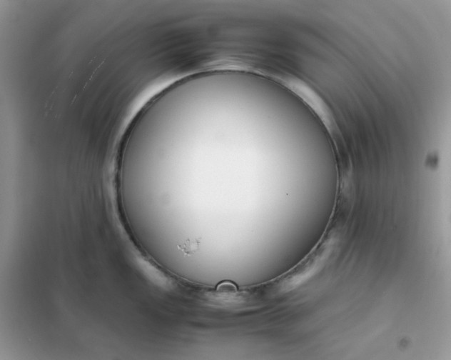 X0000102031149200808011441