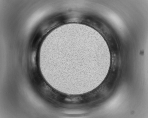 X0000102031150200808011441