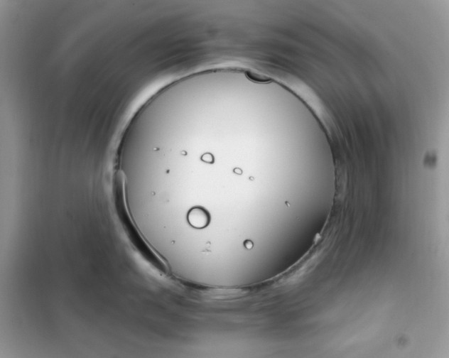 X0000102031151200808011442