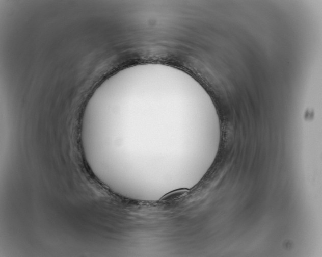 X0000102031153200808011441