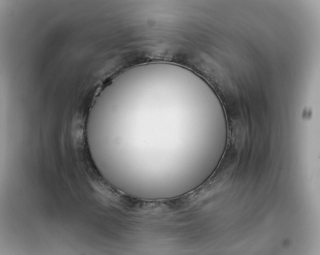 X0000102031154200808011441