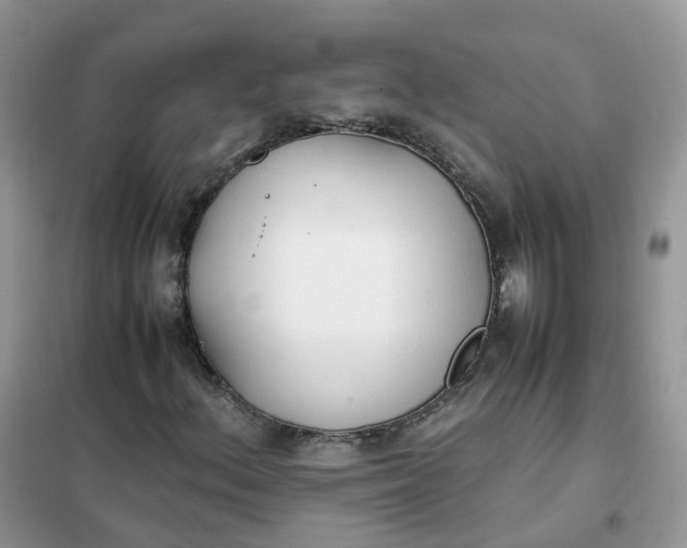 X0000102031156200808011441