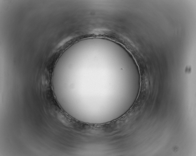 X0000102031158200808011441