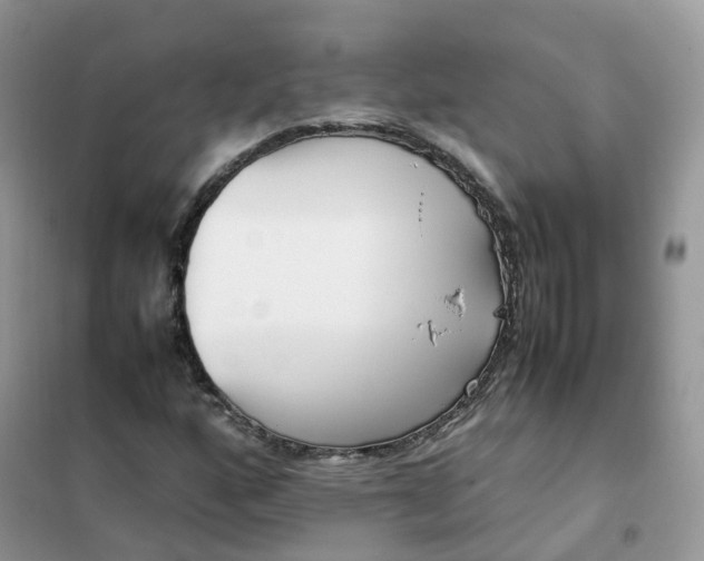 X0000102031160200808011441